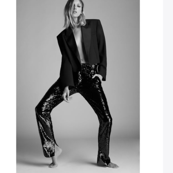 Zara Pants - 🥰🥰Zara Sequined High Waist Pants🥰🥰